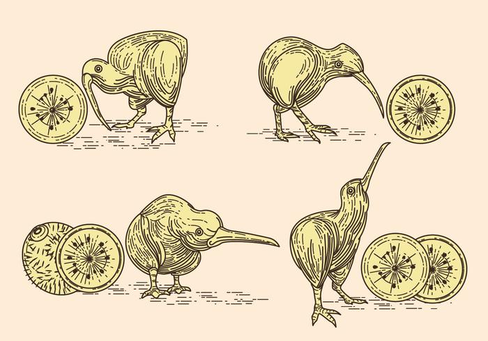 Imagem vetorial de Nice Kiwi Birds and Kiwi Fruits vetor