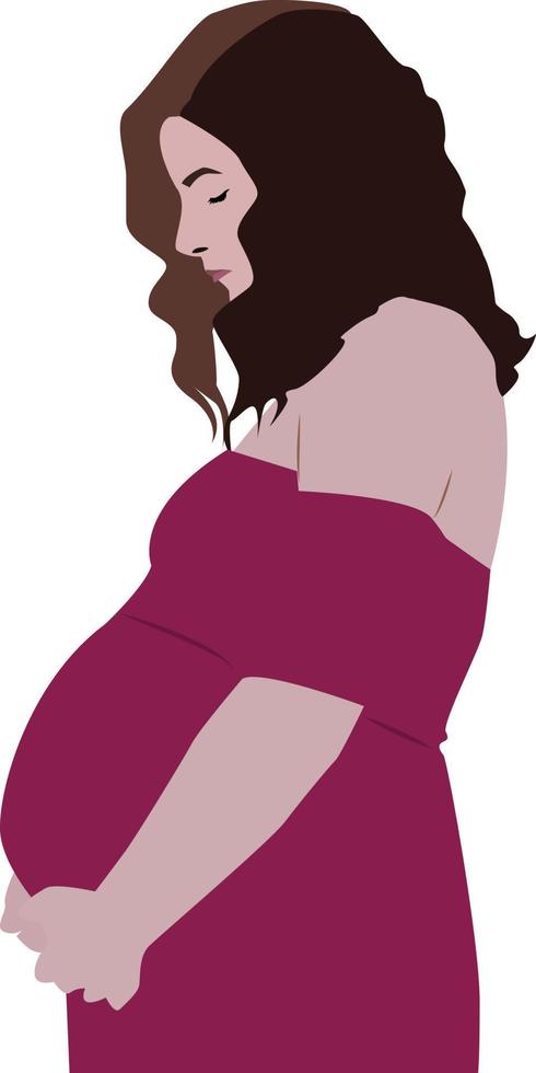 mulher grávida, ilustração, vetor em fundo branco.