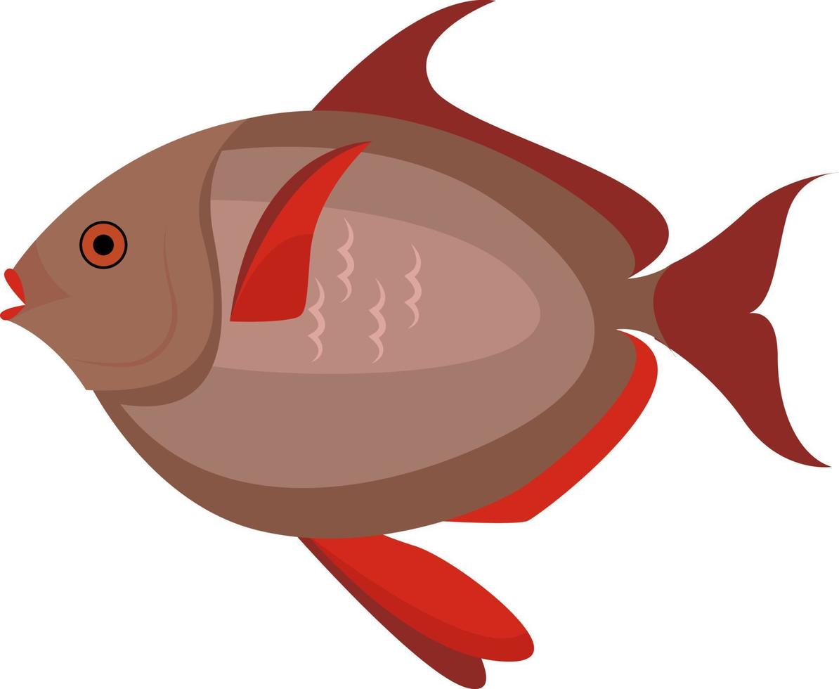peixe vermelho, ilustração, vetor em fundo branco