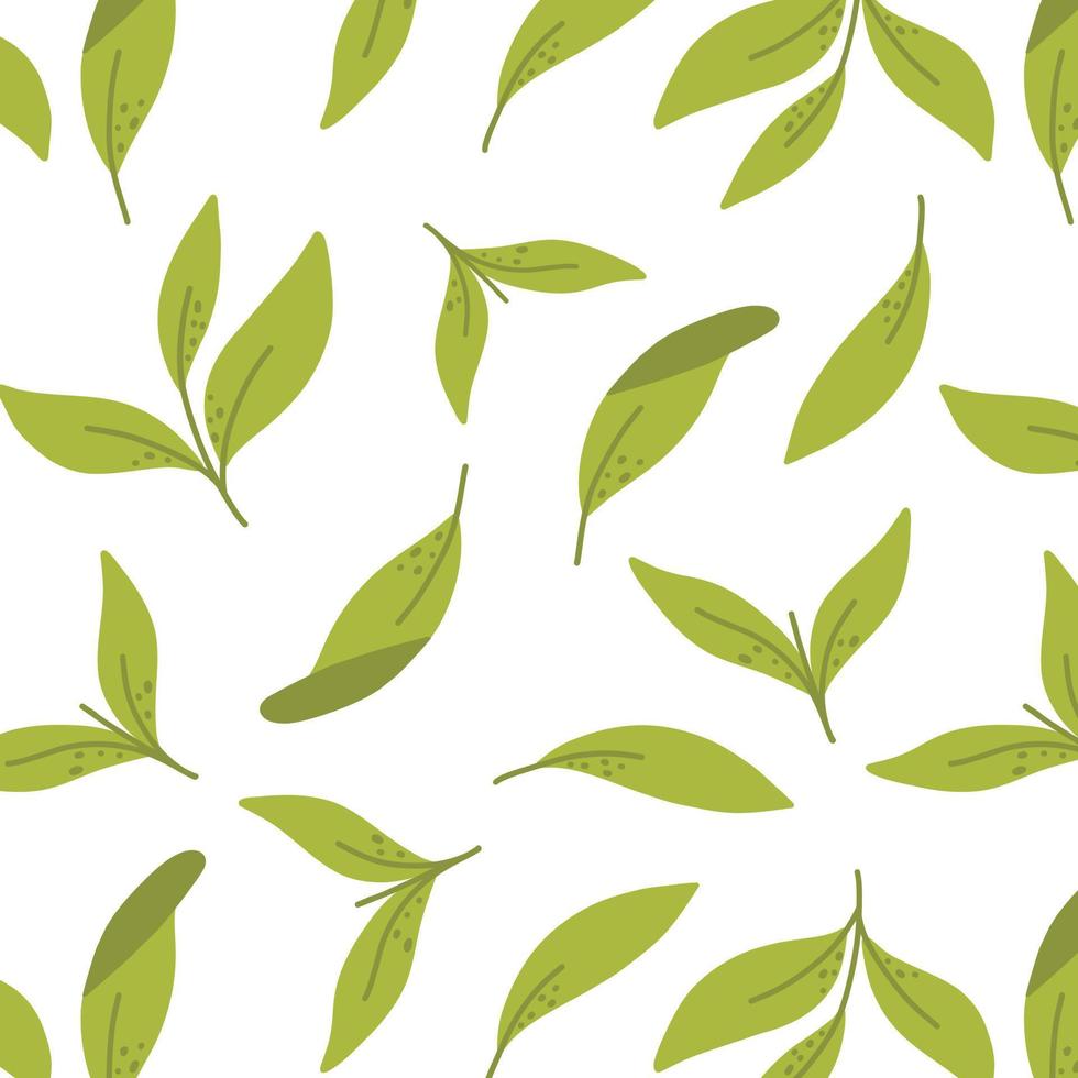 sem costura padrão com folhas de chá verde. ilustração vetorial. padrão com chá verde matcha. vetor