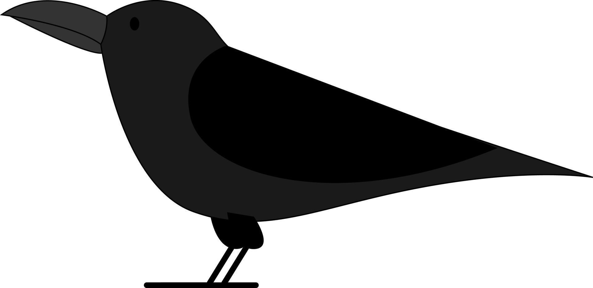 corvo preto, ilustração, vetor em fundo branco.