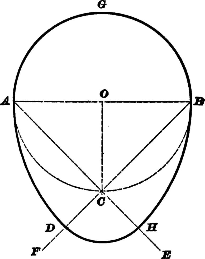 oval, ilustração vintage. vetor