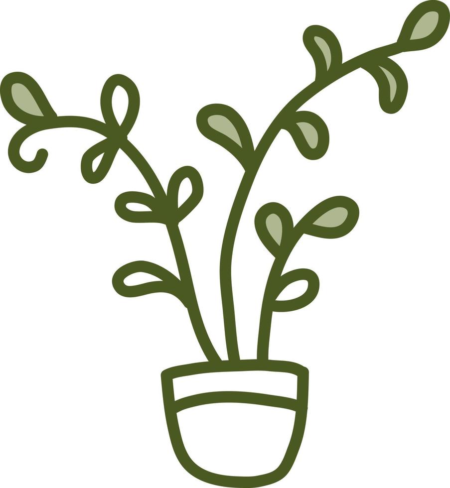 planta esmeralda e ouro em vaso, ilustração, vetor em um fundo branco.
