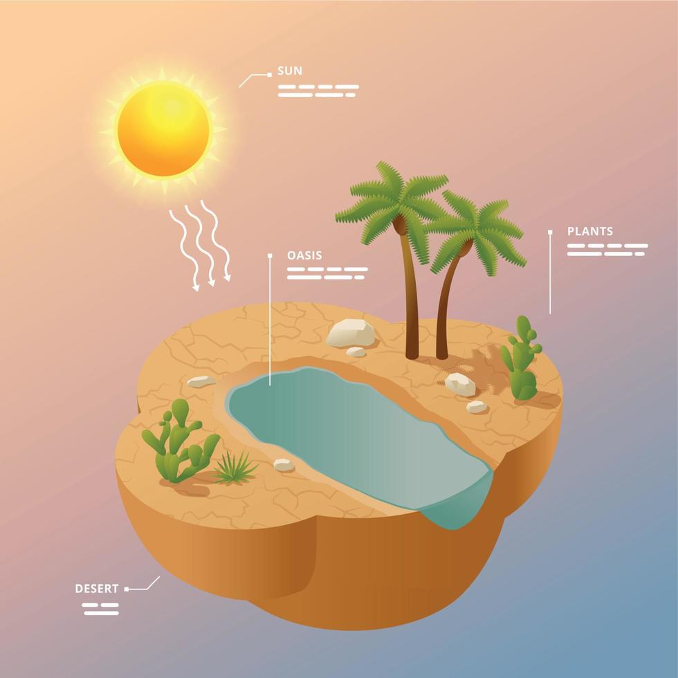 cartaz de infográficos isométricos de paisagem do deserto vetor