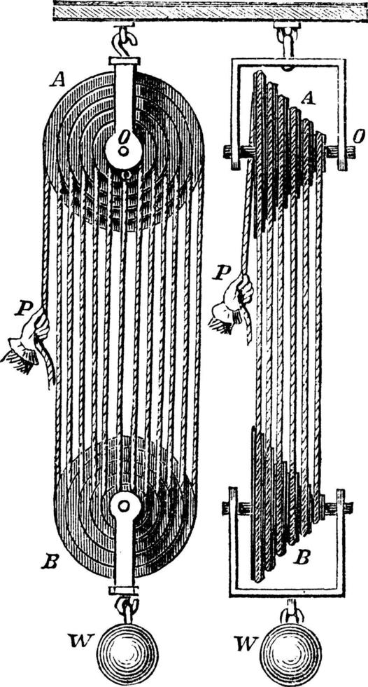 polia, ilustração vintage. vetor