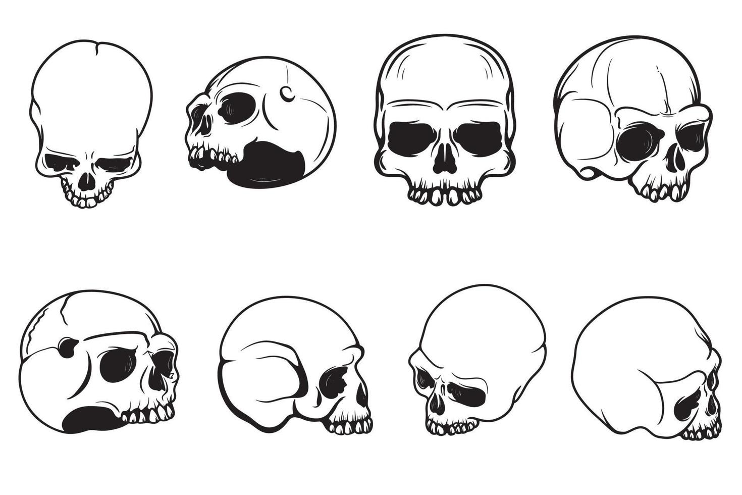 conjunto de desenhos de crânio de vetor de crânio humano