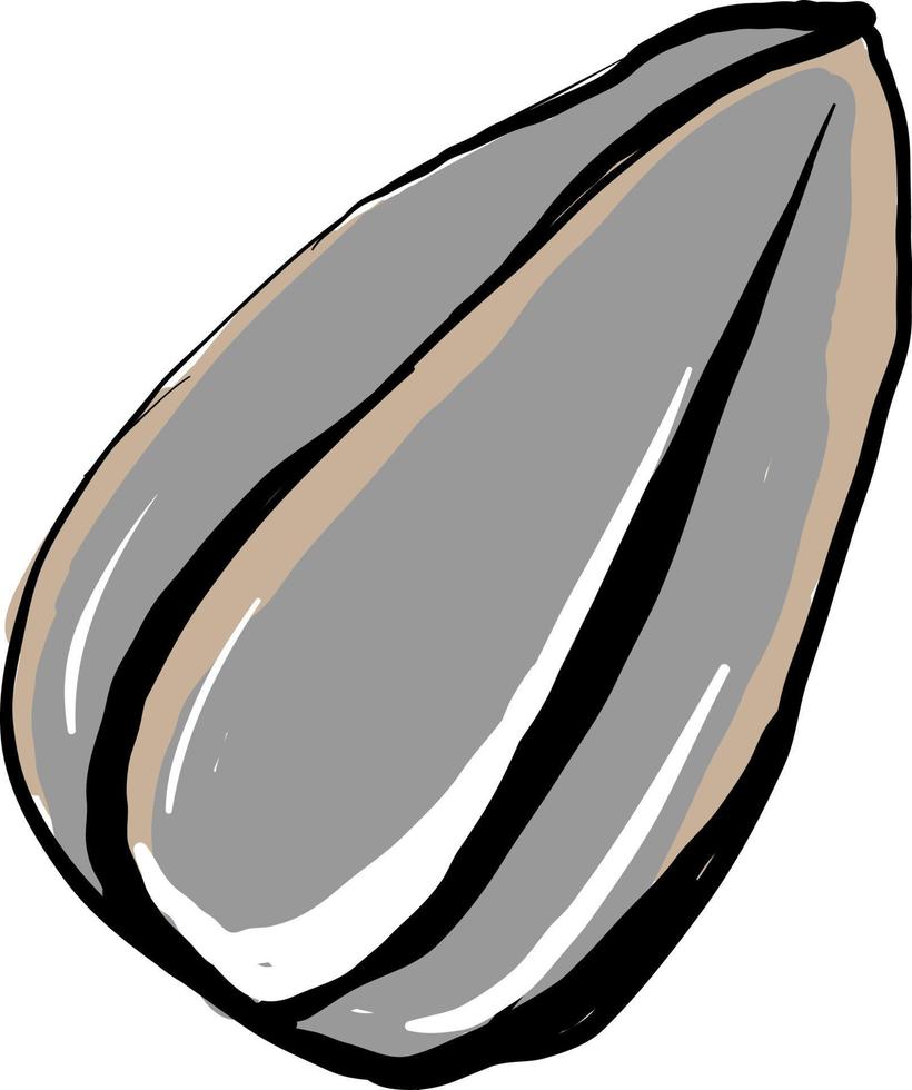 semente de girassol, ilustração, vetor em fundo branco.