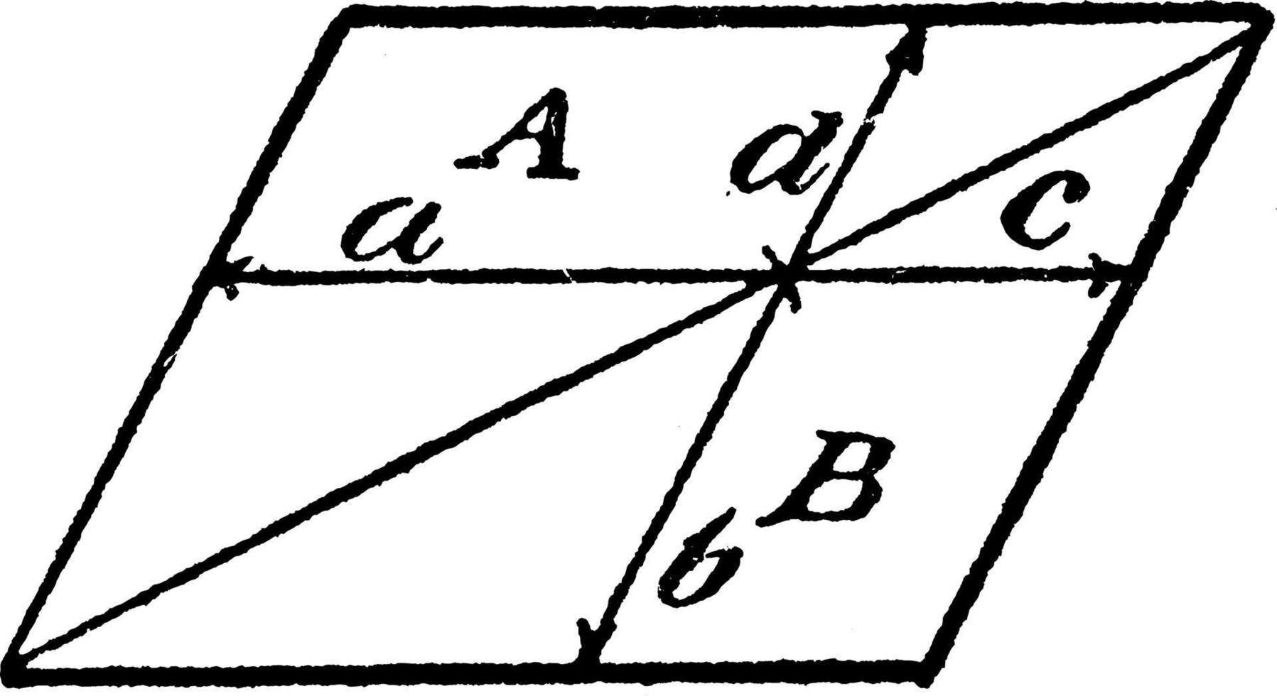 modelo de proporções geométricas, ilustração vintage. vetor