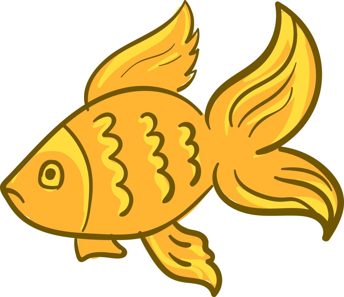 peixe dourado, ilustração, vetor em fundo branco.
