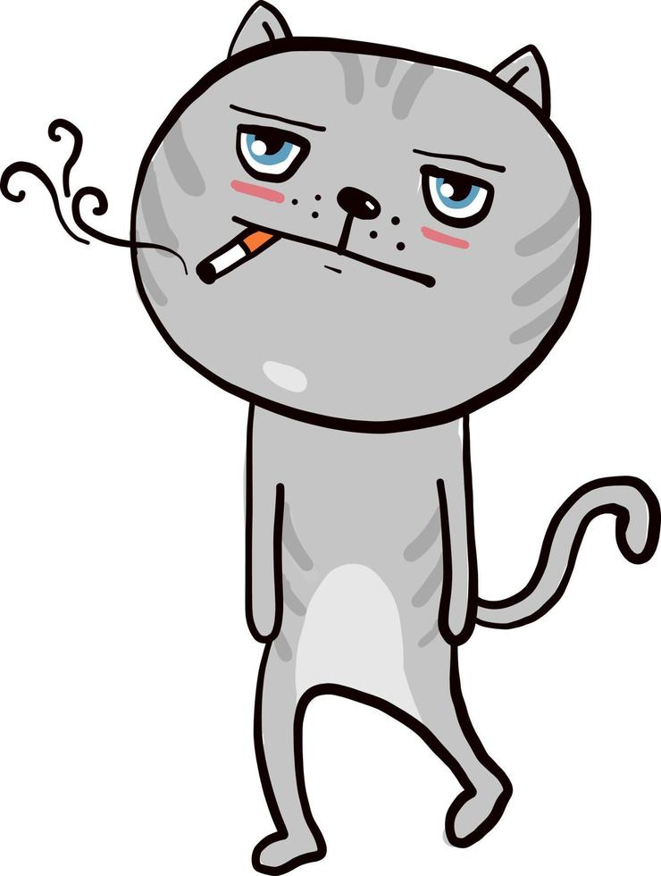 gato fumando, ilustração, vetor em fundo branco