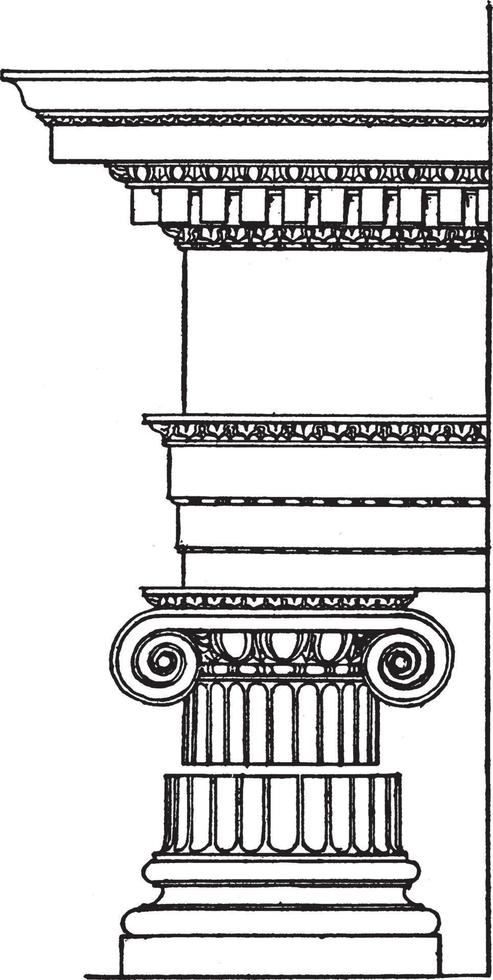 ordem iônica romana, coluna originada em meados do século VI, gravura vintage. vetor