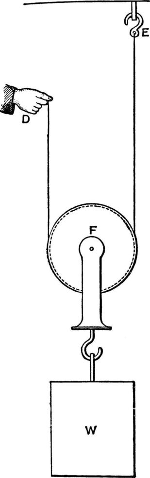 polia, ilustração vintage. vetor