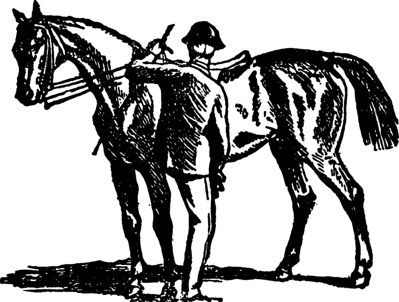 ilustração vintage de equitação. vetor