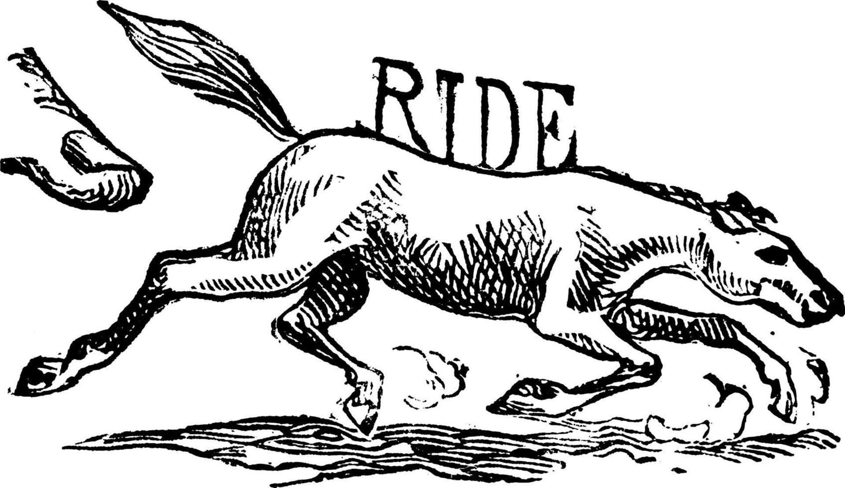 cavalo correndo, ilustração vintage. vetor