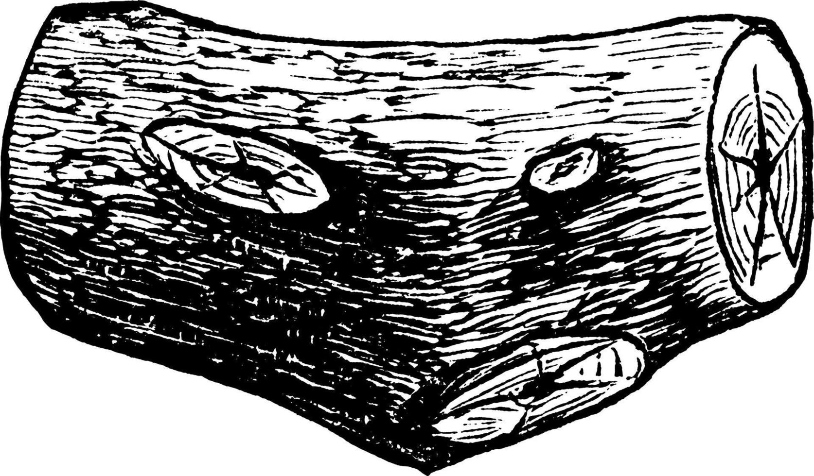 cesta de log, ilustração vintage. vetor