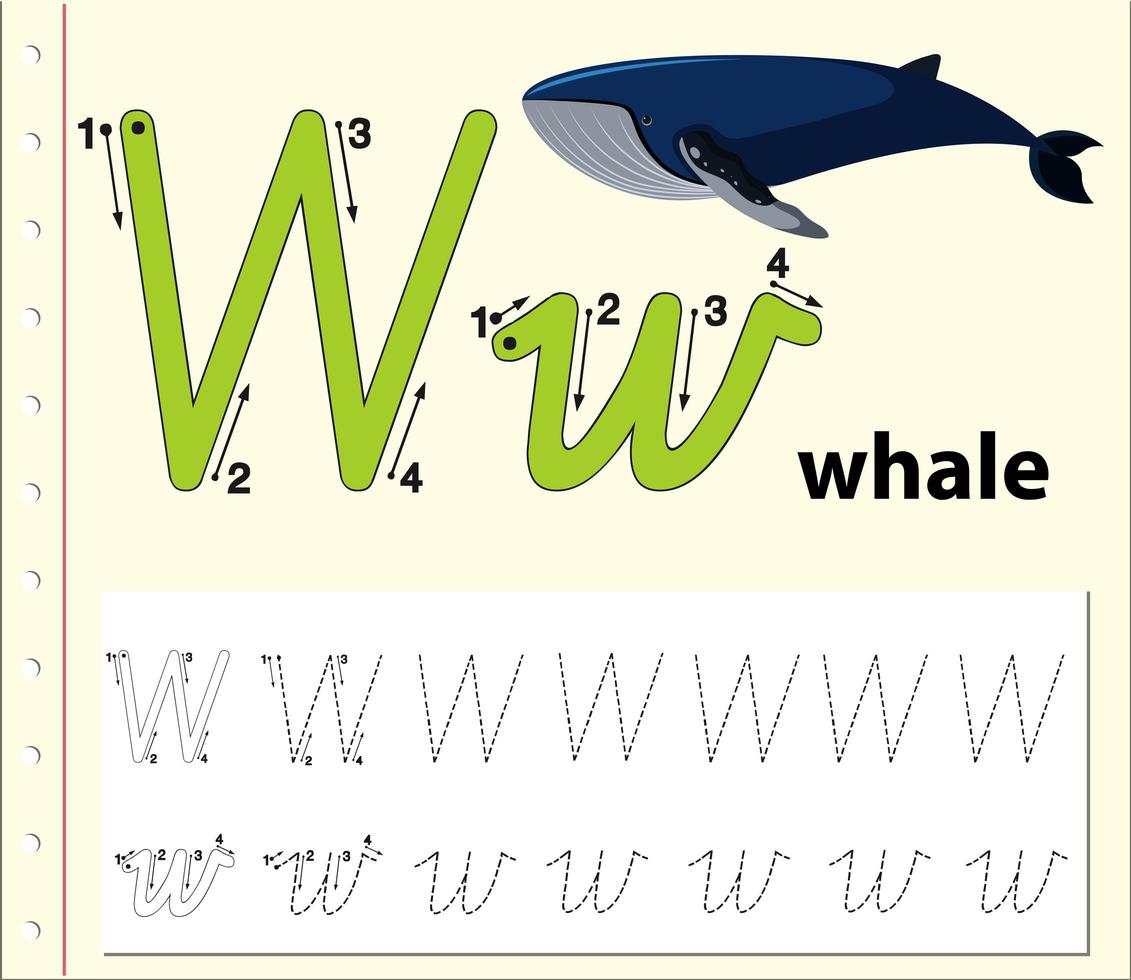letra w traçando planilha de alfabeto com baleia vetor