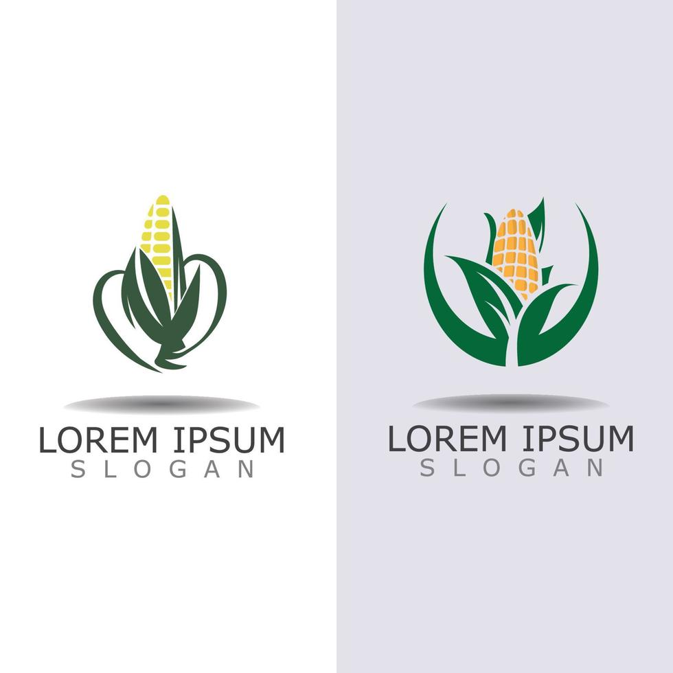 milho design de logotipo simples agricultura agricultura vetor