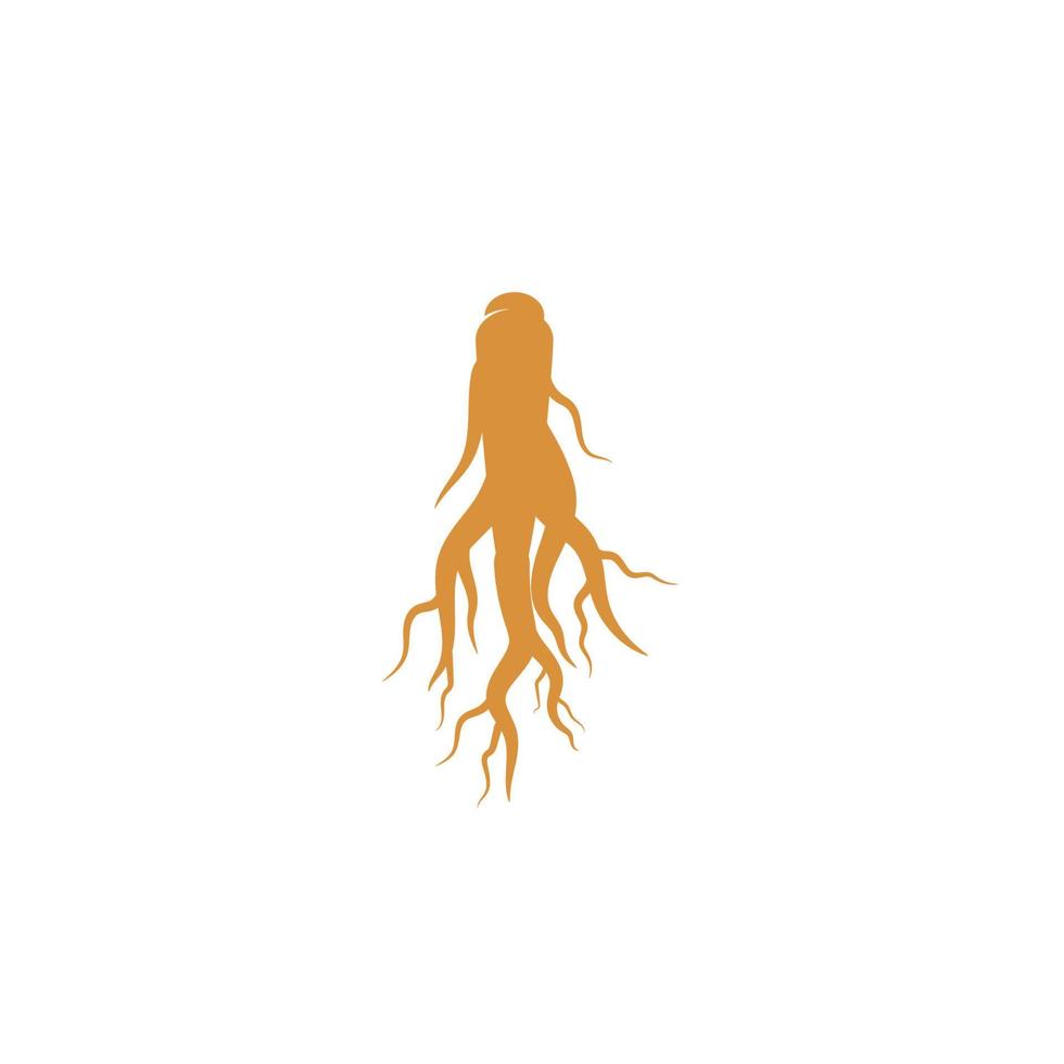 ilustração de ícone de vetor de ginseng