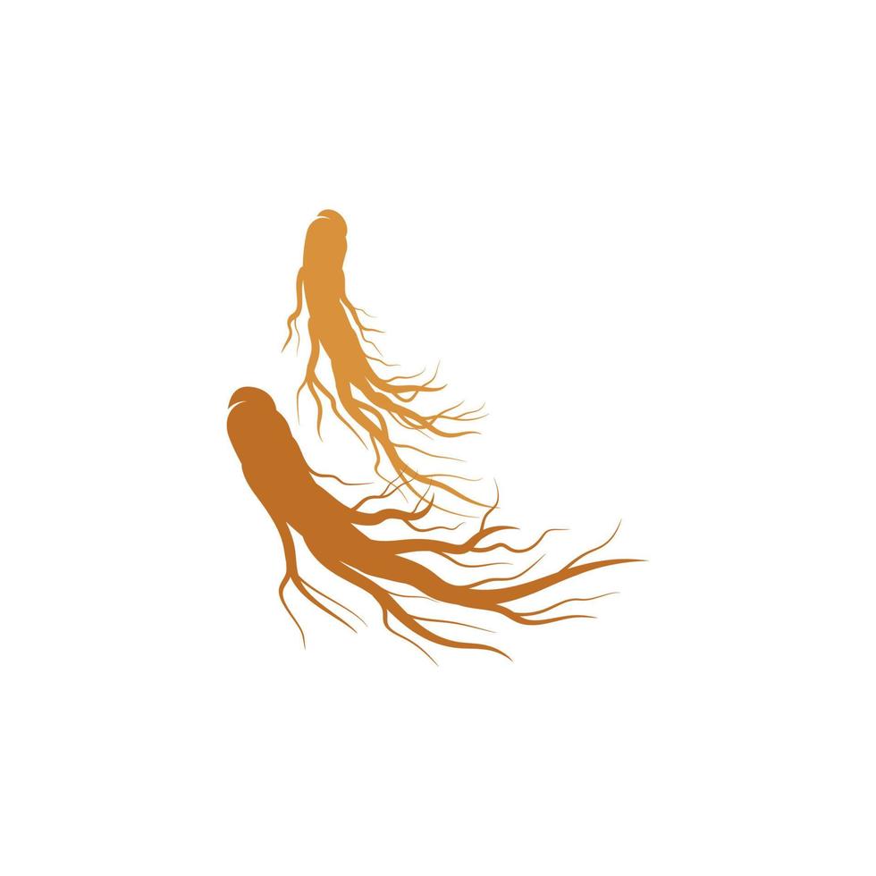 ilustração de ícone de vetor de ginseng