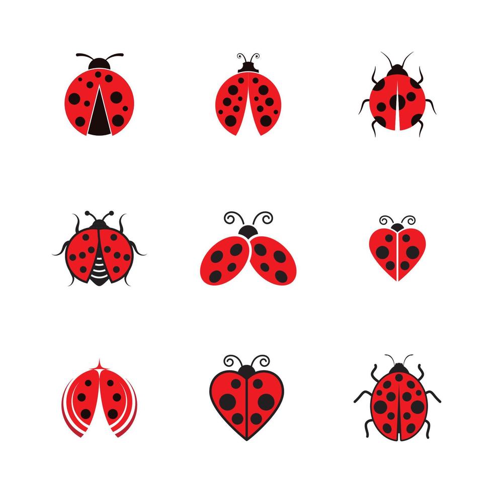 ícone de ilustração vetorial de bug de beleza vetor