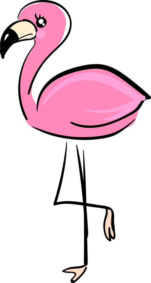 bonito flamingo, ilustração, vetor em fundo branco.