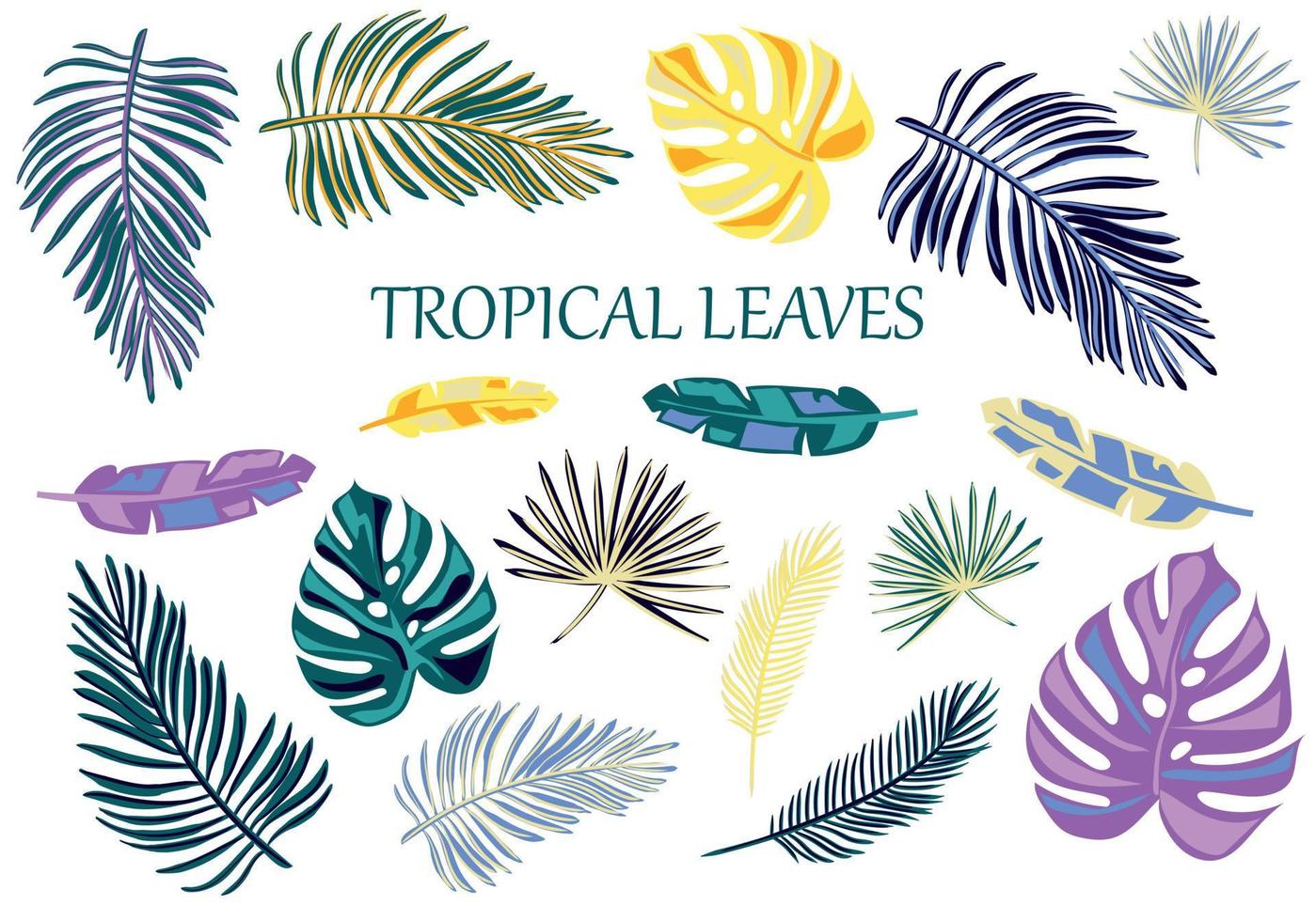 conjunto de folhas exóticas de tipo diferente tropical. plantas da selva. calathea, monstera e folhas de palmeira. ilustração vetorial isolada no fundo branco. vetor