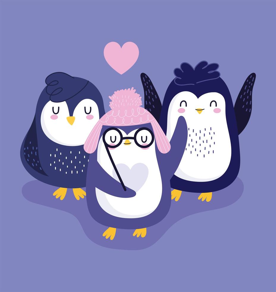 óculos de chapéu quente pinguins corações amor pássaros vetor