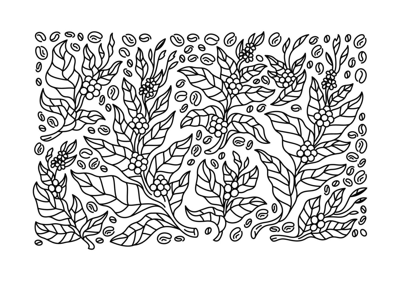 conjunto de galhos de árvores de café com flores, folhas e grãos. desenho de botânica, design de arte de linha. vetor