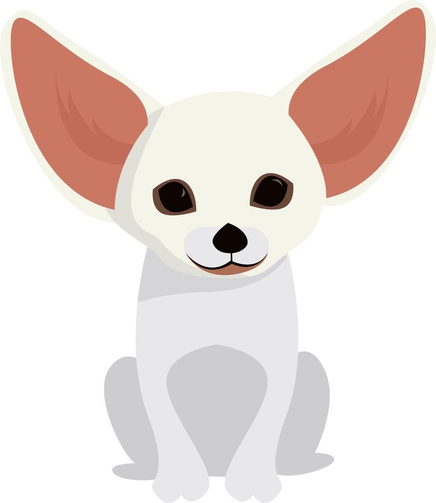 fennec fox, ilustração, vetor em fundo branco