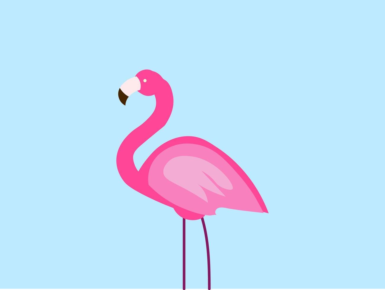 flamingo rosa, ilustração, vetor em fundo branco.
