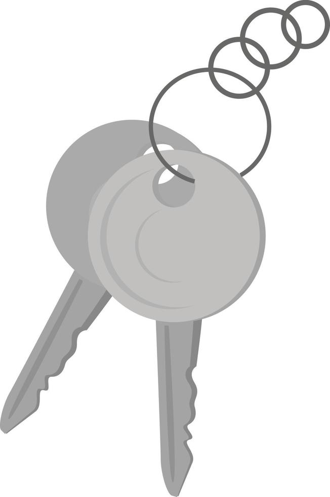par de chaves, ilustração, vetor em fundo branco