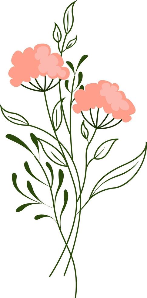 flor rosa, ilustração, vetor em fundo branco