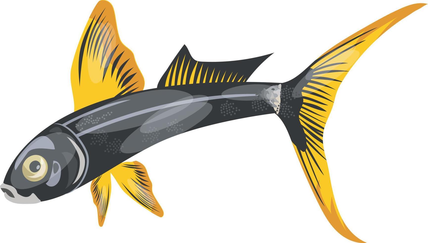 ilustração vetorial de peixe do mar com barbatanas e cauda vetor