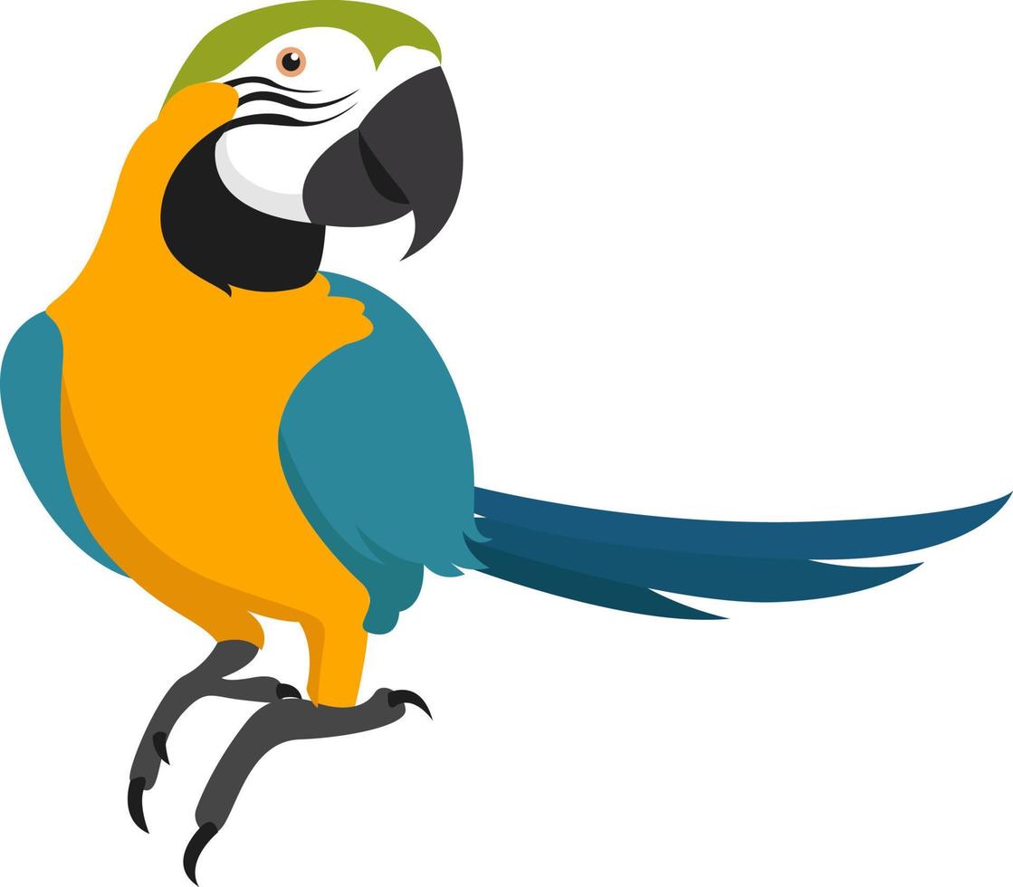 papagaio amarelo, ilustração, vetor em fundo branco