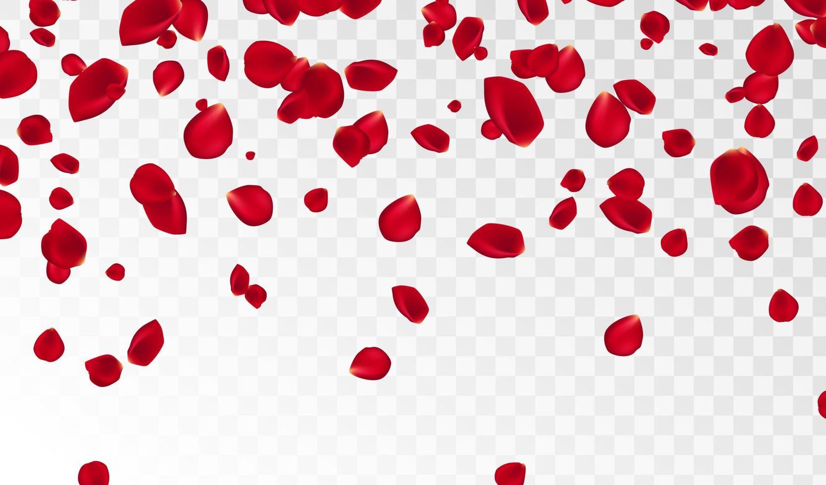 abstrato com pétalas de rosa vermelhas a voar sobre um fundo branco transparente. ilustração vetorial. EPS 10. ilustração vetorial de pétalas de rosa vetor