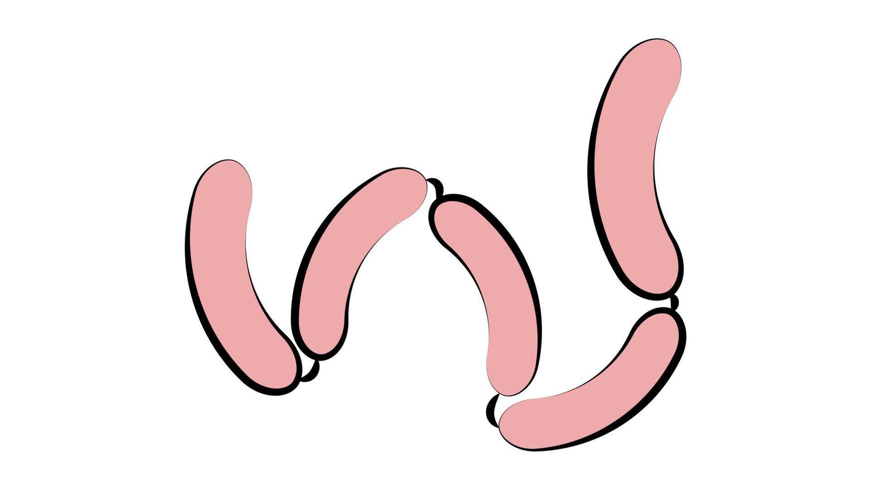 salsichas grelhadas. único ícone de churrasco em estilo de contorno vetor símbolo estoque ilustração web