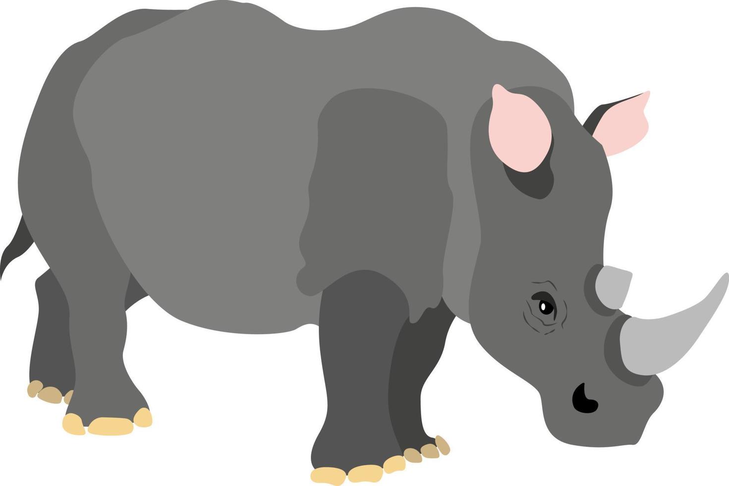 rinoceronte, ilustração, vetor em fundo branco.