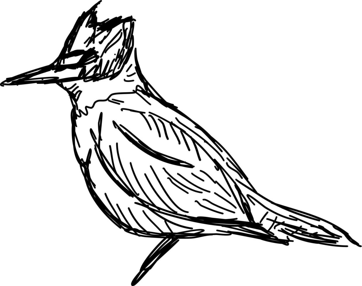 desenho de pássaros, ilustração, vetor em fundo branco.