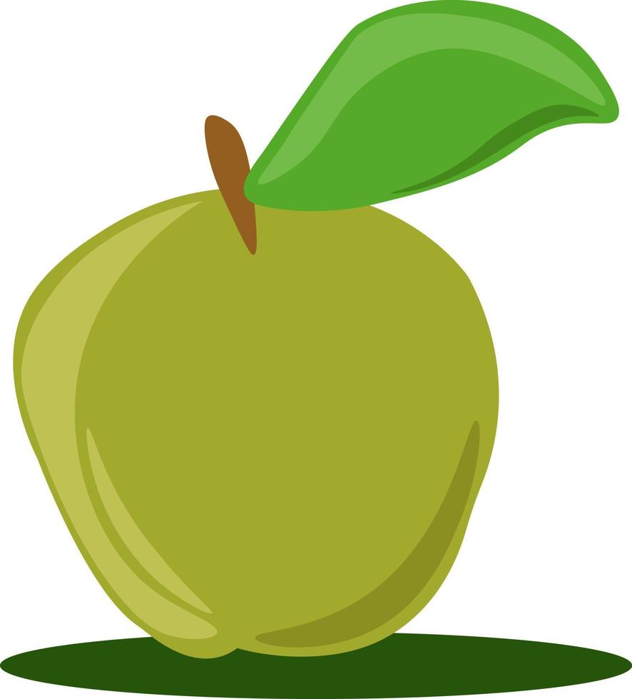 maçã verde, ilustração, vetor em fundo branco.