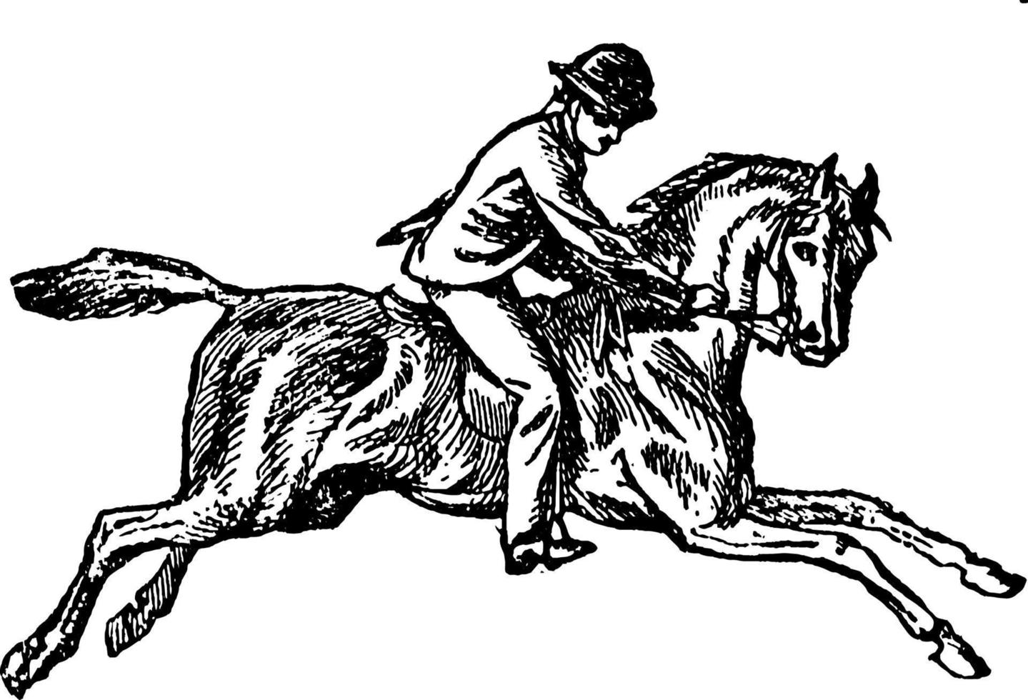 ilustração vintage de equitação. vetor