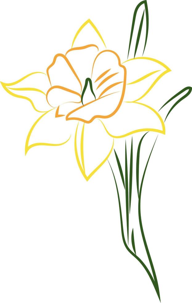flor amarela, ilustração, vetor em fundo branco.