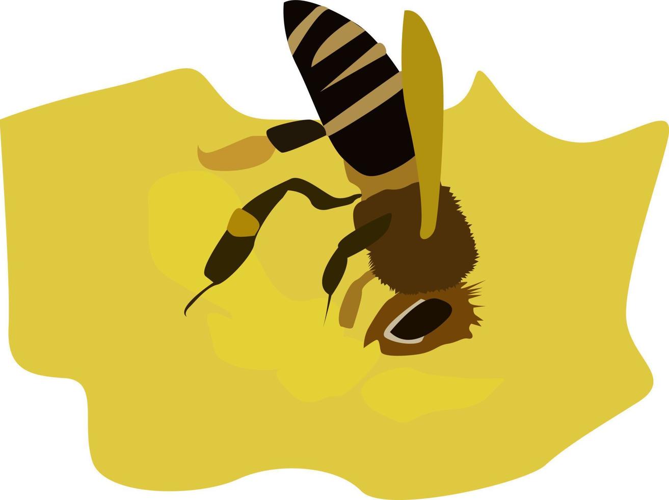 abelha coletando néctar, ilustração, vetor em fundo branco.