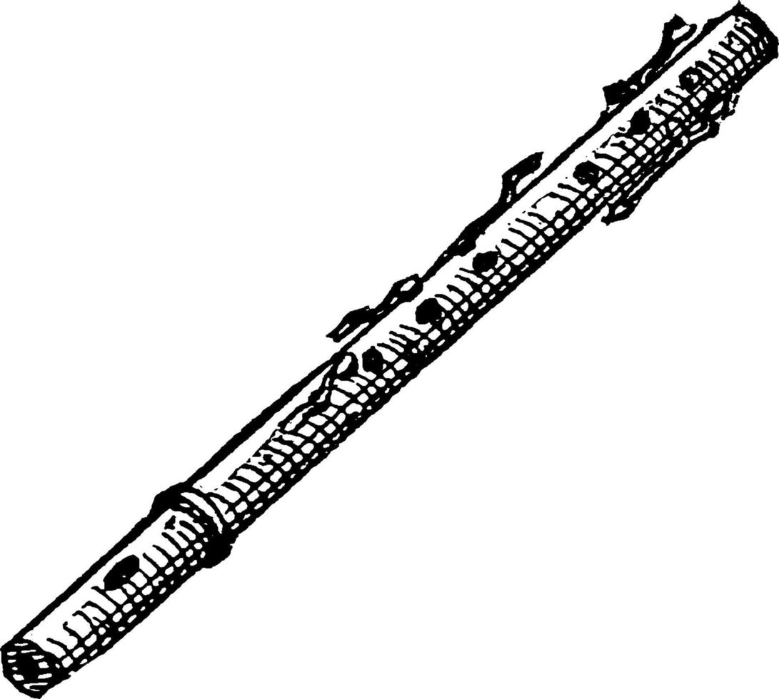flauta, ilustração vintage vetor