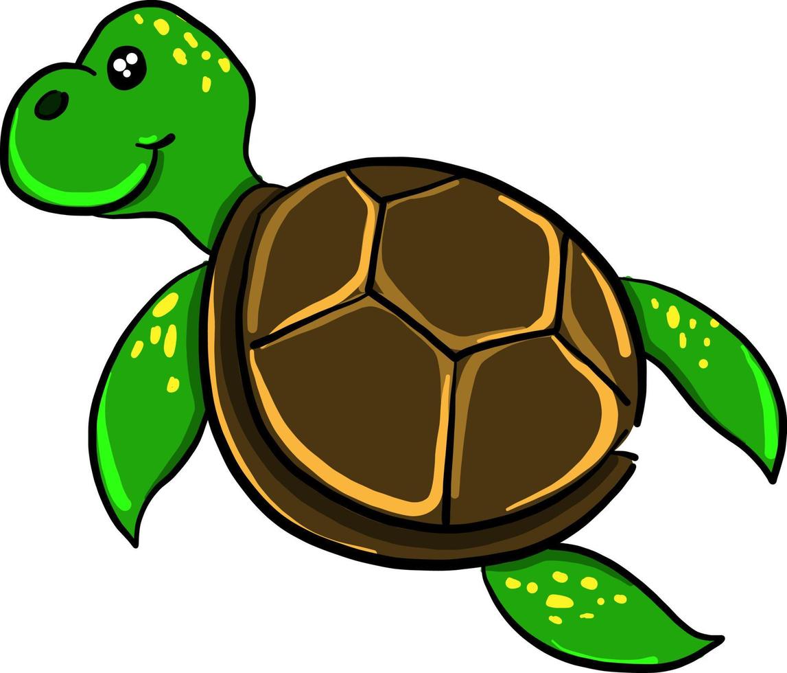 tartaruga verde, ilustração, vetor em fundo branco