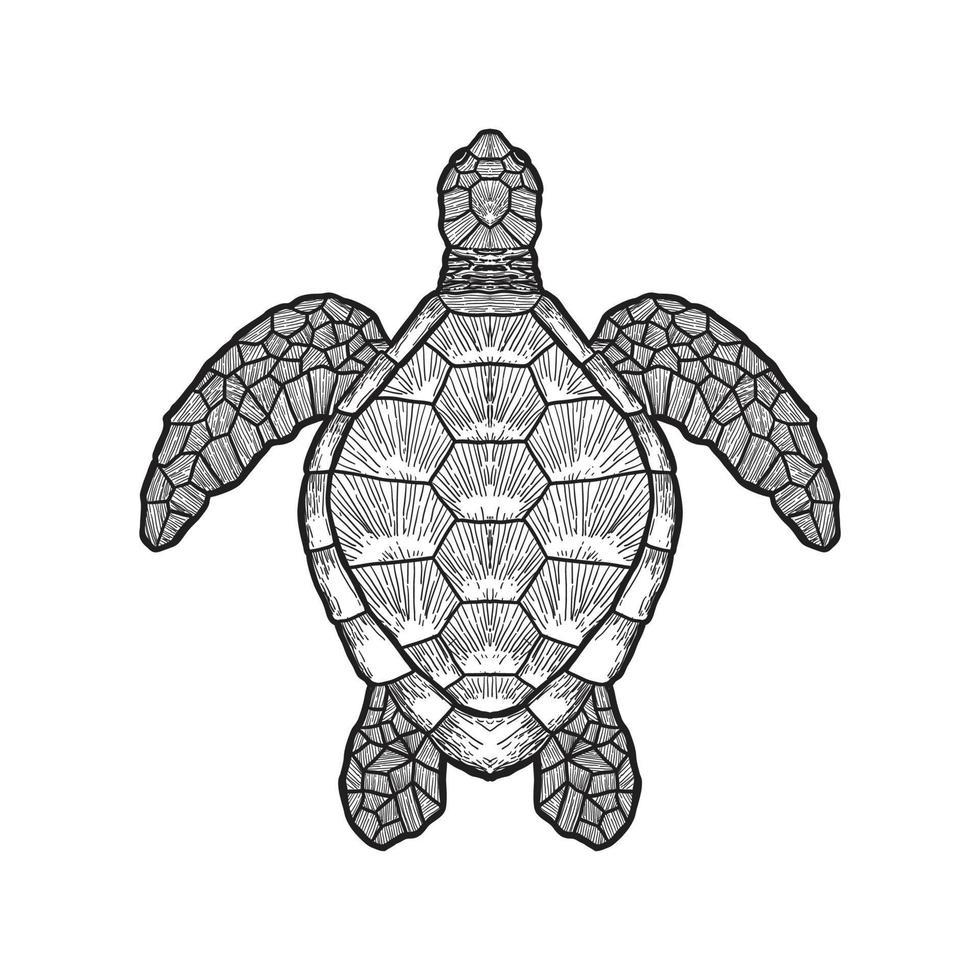 contorno de tartaruga marinha isolado no fundo branco vetor