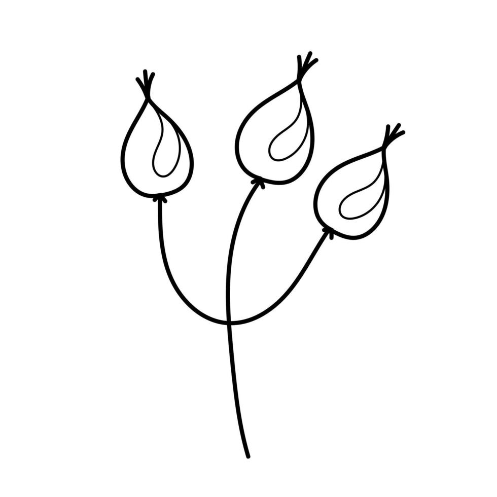 rosa mosqueta isolada no fundo branco. ilustração vetorial desenhada à mão em estilo cartoon. contorno, livro para colorir. para seus cartões, logotipo, decorações. vetor