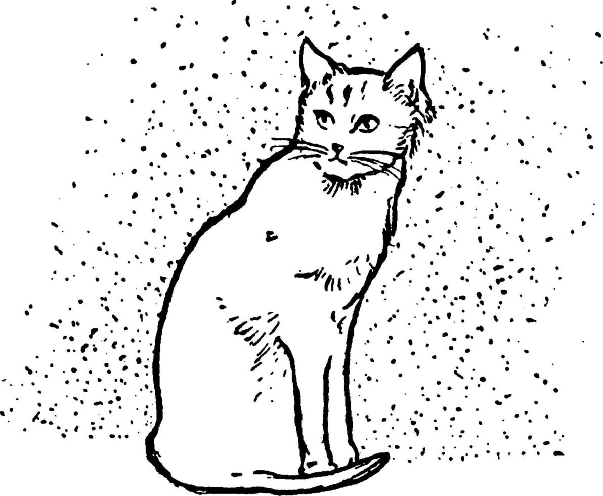 gato, ilustração vintage vetor