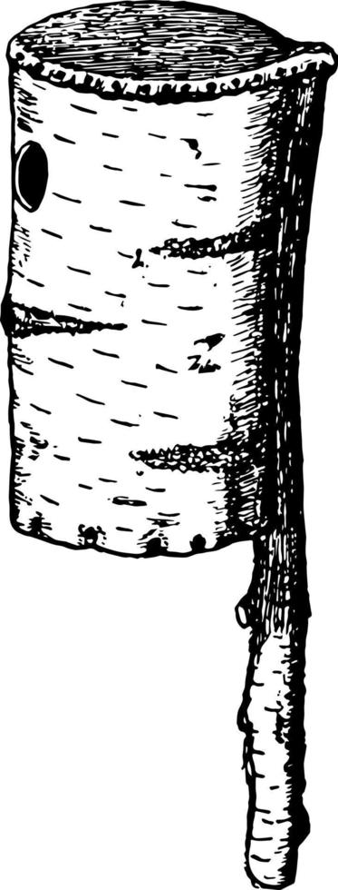 caixa de nidificação de casca de bétula, ilustração vintage. vetor