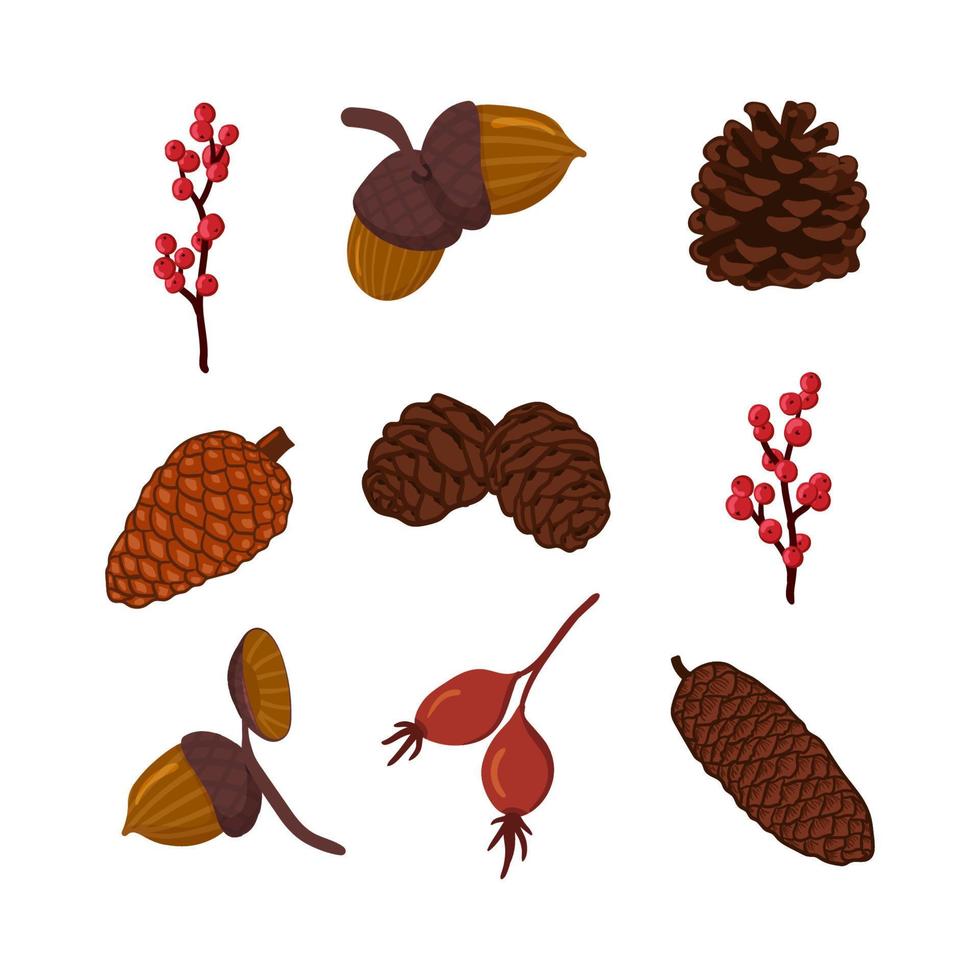 conjunto de ilustração vetorial de cones de coníferas, bolotas e bagas. pinho, abeto, cones de abeto, bagas de rosa mosqueta. clipart de elementos botânicos de natureza de inverno vetor