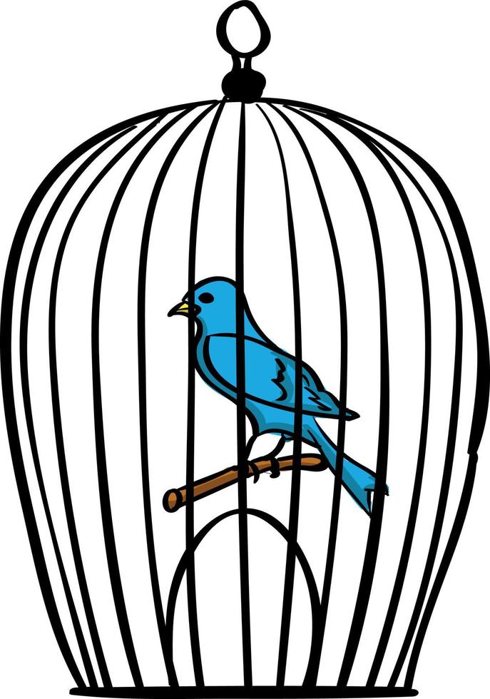 pássaro na gaiola, ilustração, vetor em fundo branco.